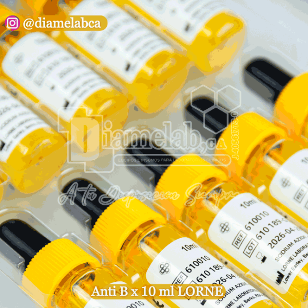 ANTI B MONOCLONAL x10ML LORNE